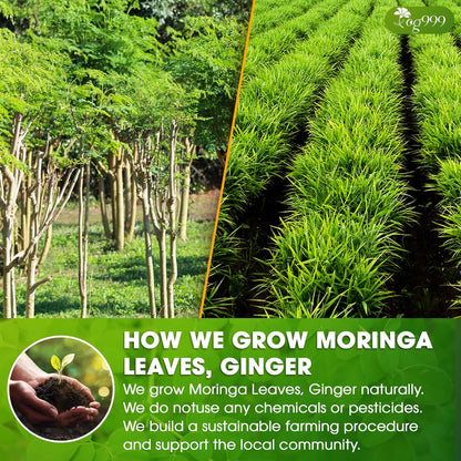 Premium Moringa Ginger Herbal Tea by FreshDrinkUS - Natural and Premium Herbal Tea