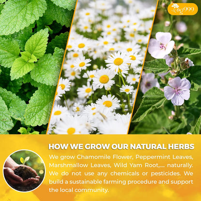 Premium Diverticulitis Tea Bags | 100% Natural Chamomile, Peppermint, Marshmallow Leaf, Wild Yam Root, Licorice &amp; Ginger Herbal Blend by FreshDrinkUS - Natural and Premium Herbal Tea
