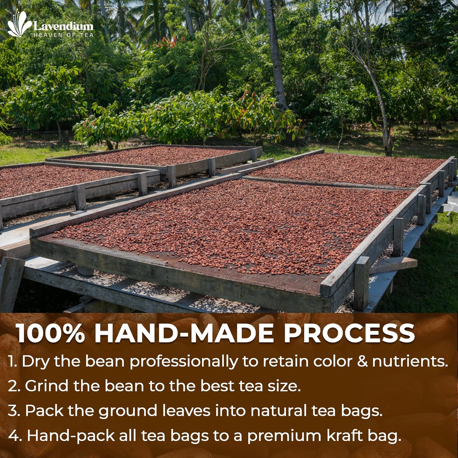 Cacao Powder, 25oz (1.56 lbs), 100% Natural &amp; Pure, Unsweetened, Rich Chocolate Flavor, Perfect for Baking &amp; Smoothies by FreshDrinkUS - Natural and Premium Herbal Tea