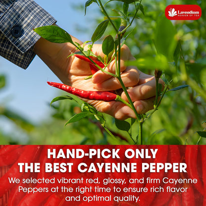 Premium Cayenne Pepper Powder– Pure Ground Red Pepper, Bold and Spicy Flavor by FreshDrinkUS - Natural and Premium Herbal Tea
