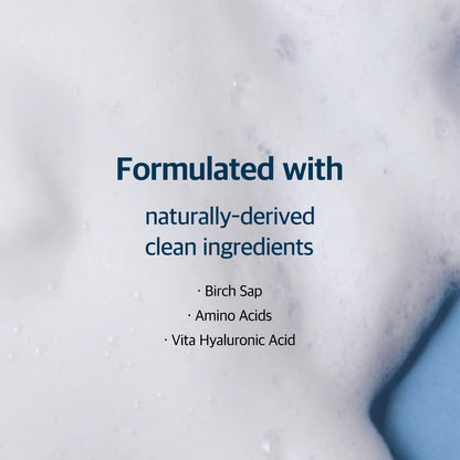 Round Lab Birch Juice Moisturizing Cleanser by AsiaBeautyMall