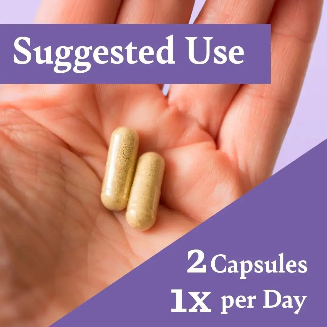 Liver Support with Milk Thistle — Herbal Wellness Supplement by Healthy Day Supplements