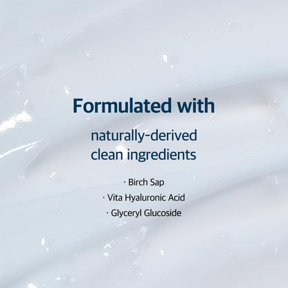 Round Lab Birch Juice Moisturizing Cream by AsiaBeautyMall