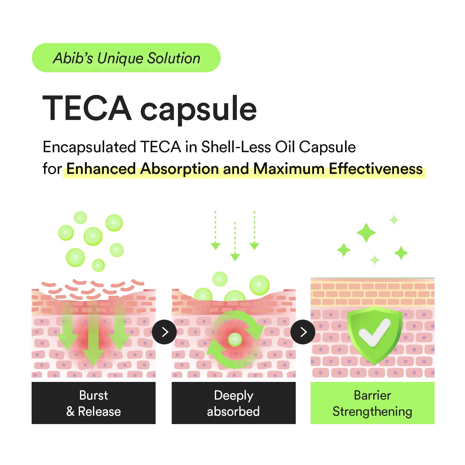 Abib Heartleaf TECA Capsule Serum by AsiaBeautyMall