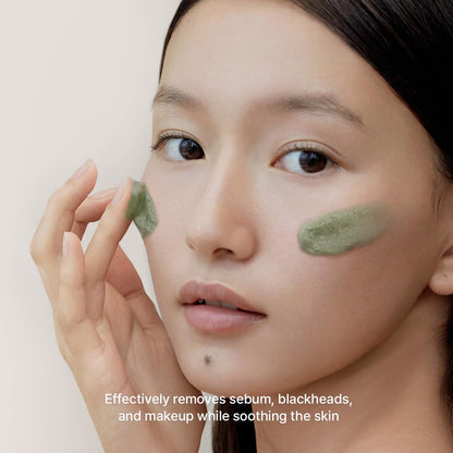 Arencia Green Tea + LHA Deep Pore Rice Cake Cleanser by AsiaBeautyMall