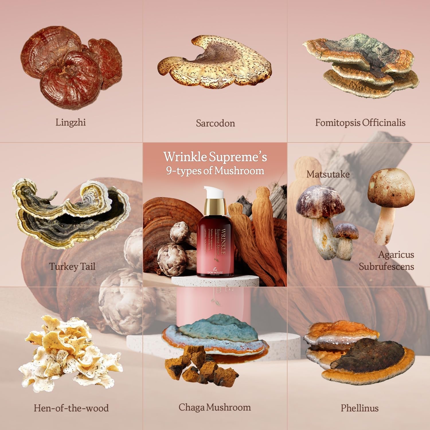 Wrinkle Supreme Serum 0.67 Fl. Oz. Trial-Size, Korean Red Ginseng, Mushrooms | Firming, Lifting, Fine Lines | Korean Skin Care, K-Beauty, 20Ml by Korean Skin Care