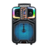 HomeBoss AO-818 8-Inch Portable Bluetooth Speaker with LED Lights by Farmacias Savia