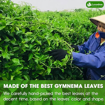 Premium Gymnema Leaf Tea Bags for Diabetics, 100% Natural &amp; Pure from Gymnema Leaves. by FreshDrinkUS - Natural and Premium Herbal Tea