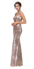 CLEARANCE - Eureka 7010 Floor Length Sequin Dress V-Neck with Sheer Inset (Size XS) by DiscountDressShop