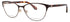 Kate Spade Hadlee Eyeglasses by ModaFrames