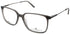 Chesterfield Ch 103xl Eyeglasses by ModaFrames