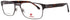 Carrera 8891 Eyeglasses by ModaFrames