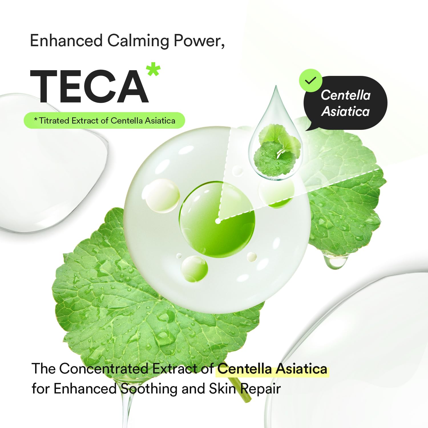 Abib Heartleaf TECA Capsule Serum by AsiaBeautyMall