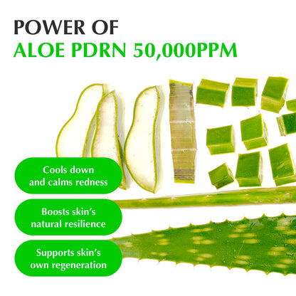EQQUALBERRY Aloe PDRN Calming Serum by AsiaBeautyMall