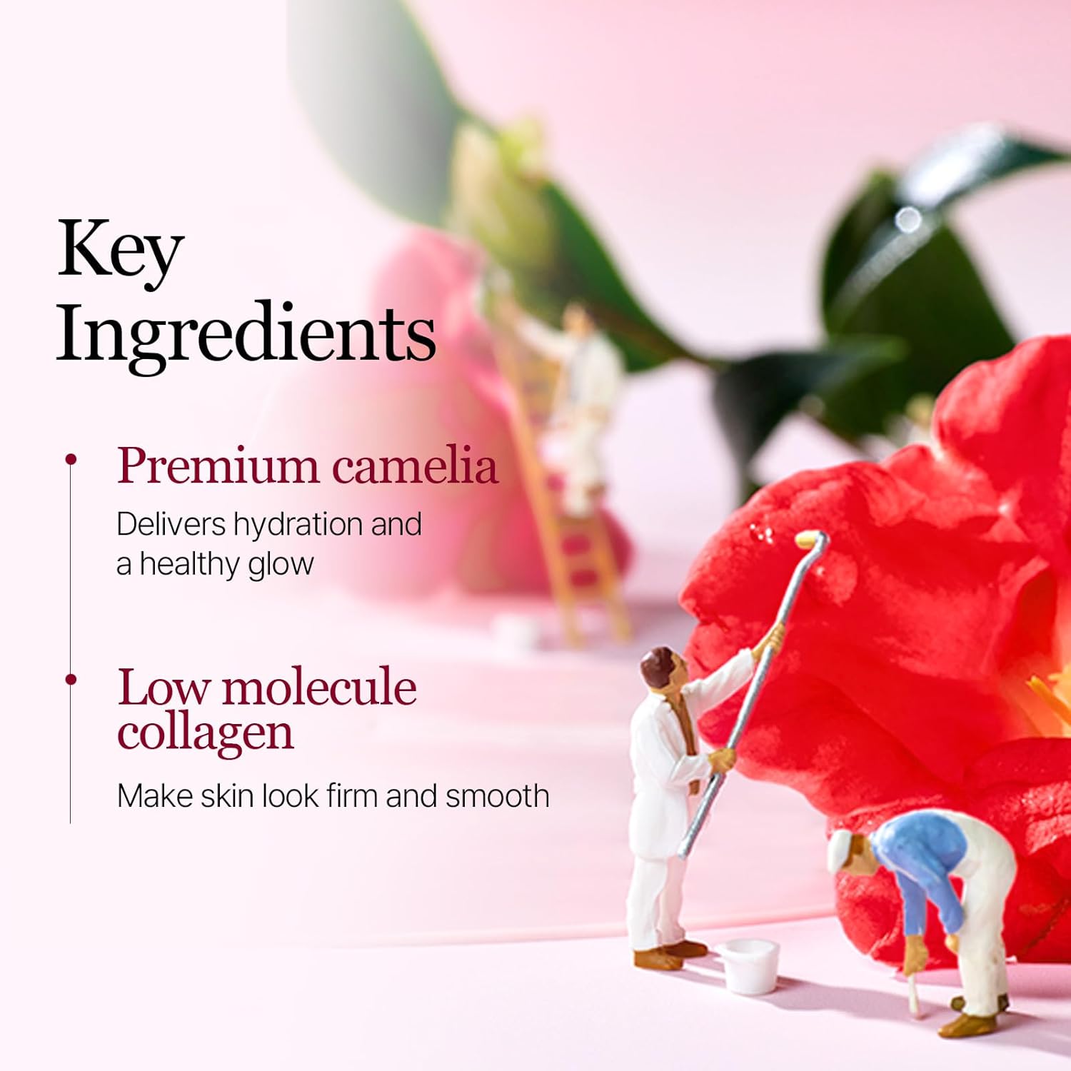 Round Lab Camellia Deep Collagen Firming Gel Mask by AsiaBeautyMall