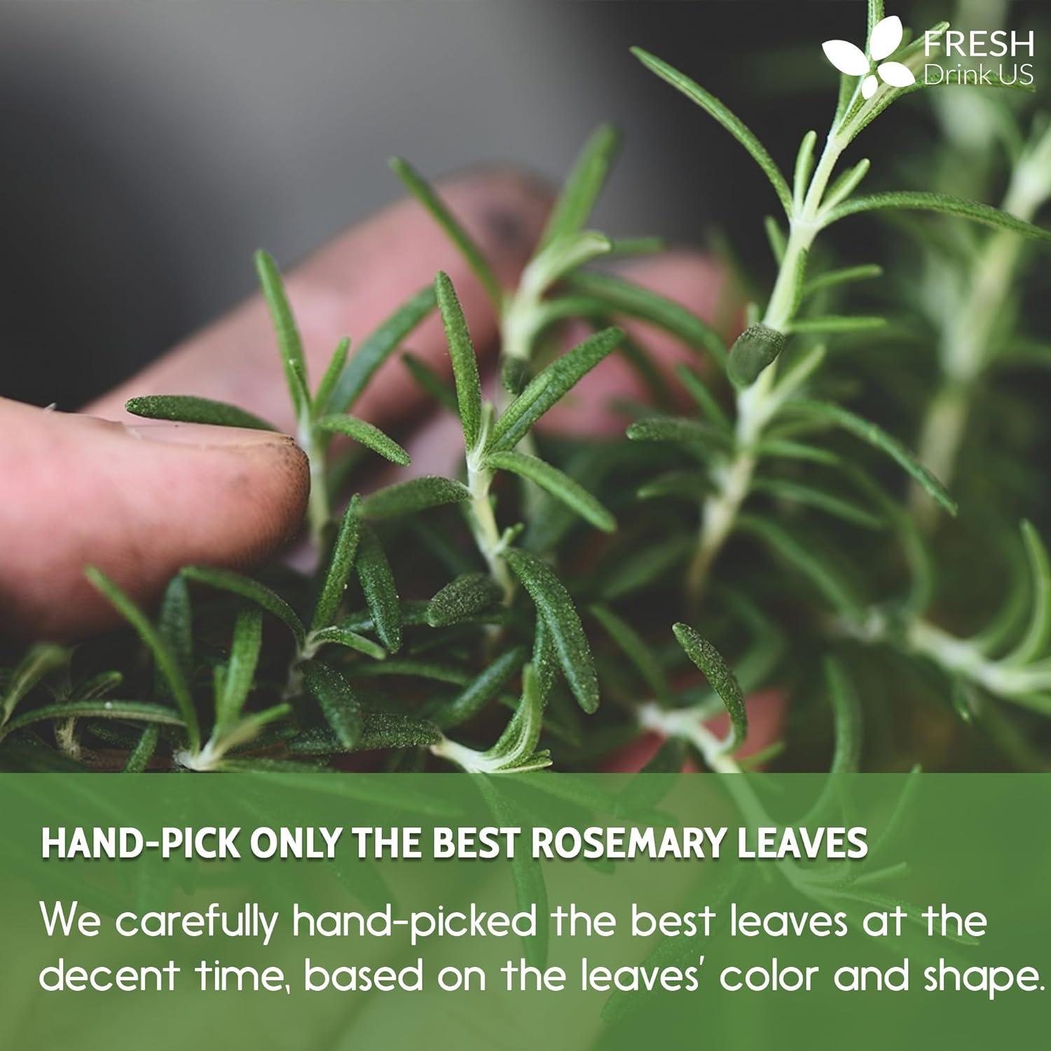 Premium Rosemary Leaves, Tea Bags, Powder, 100% Natural &amp; Pure from Dried Rosemary Leaves, No Additives, No Caffeine, Vegan. Dried Rosemary Herb, Perfect for Seasoning, Spice Blends for Grilling &amp; Cooking by FreshDrinkUS - Natural and Premium Herbal Tea