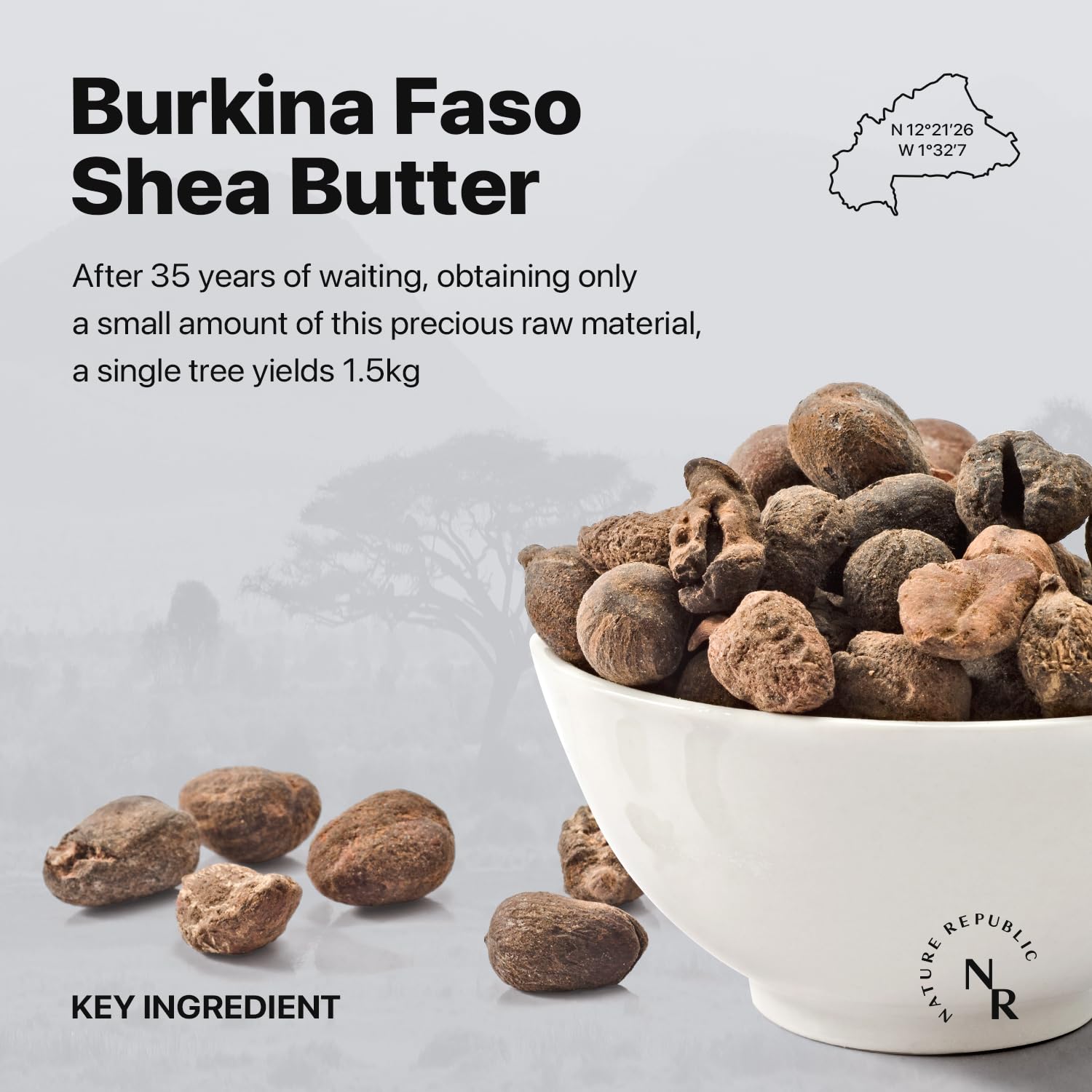Nature Republic Shea Butter Fresh Steam Cream by AsiaBeautyMall