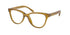 Coach 6202u Eyeglasses by ModaFrames
