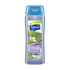 Suave Gentle Body Wash Shea Butter & Almond Oil (18oz) by Farmacias Savia