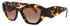 Prada Pr 07ys Sunglasses by ModaFrames