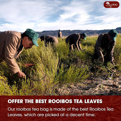 Premium Red Rooibos Tea Bags, 100% Natural &amp; Pure from Rooibos Tea Leaves. Loose Leaf Rooibos Herbal Tea. Made with Natural Material Tea Bags. No Sugar, No Caffeine, No Gluten, Vegan. by FreshDrinkUS - Natural and Premium Herbal Tea