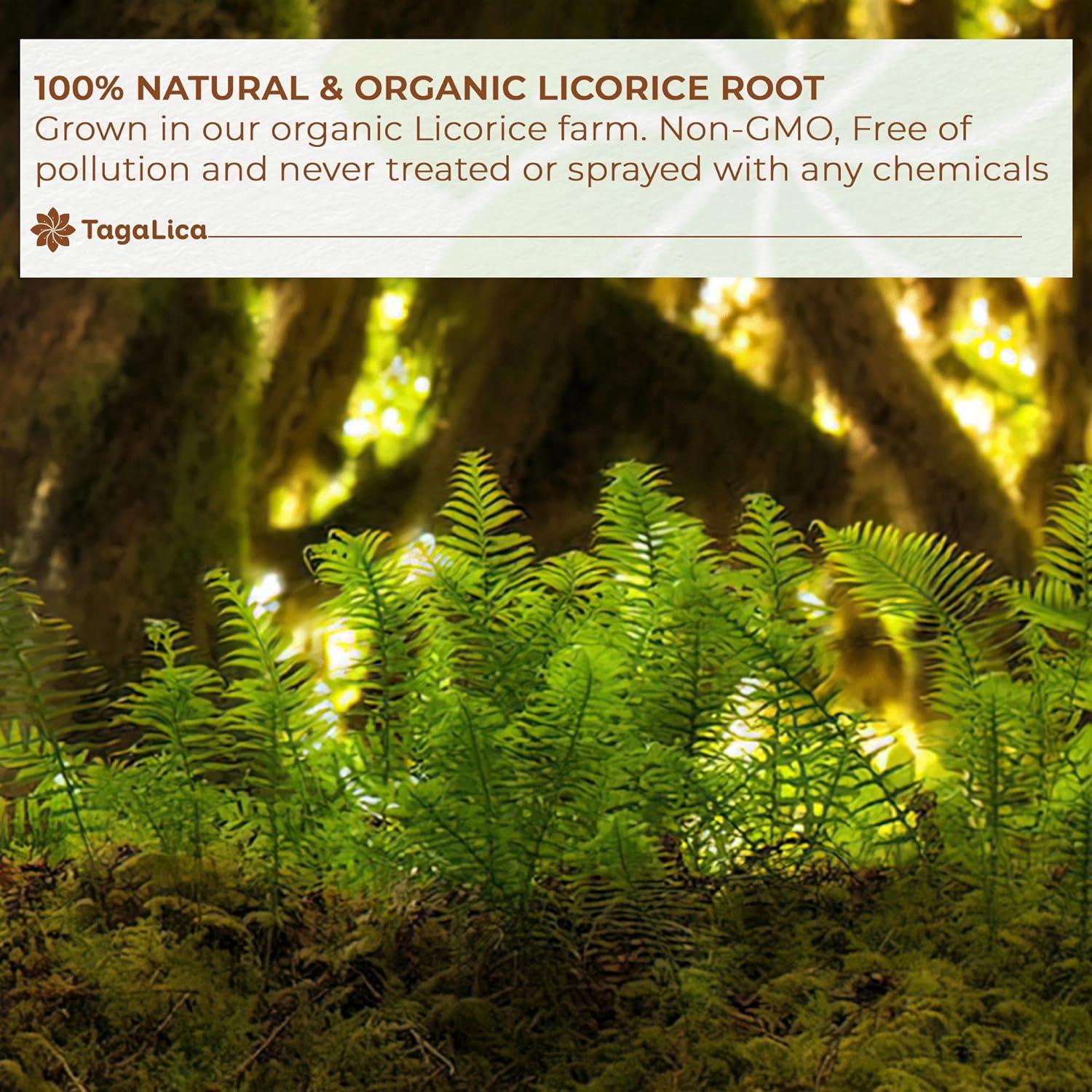 Premium Licorice Root Tea Bags, 100% Natural, Pure Licorice Root, Eco-Conscious Tea Bags, Licorice Root Herbal Tea, Licorice Root Tea. No Sugar, No Caffeine, No Gluten, Vegan by FreshDrinkUS - Natural and Premium Herbal Tea