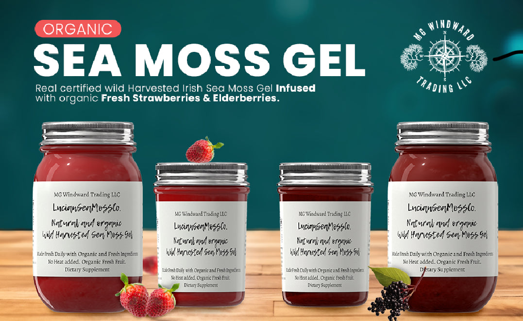 Aloe Vera Infused Organic Sea Moss Gel by Seamoss Global