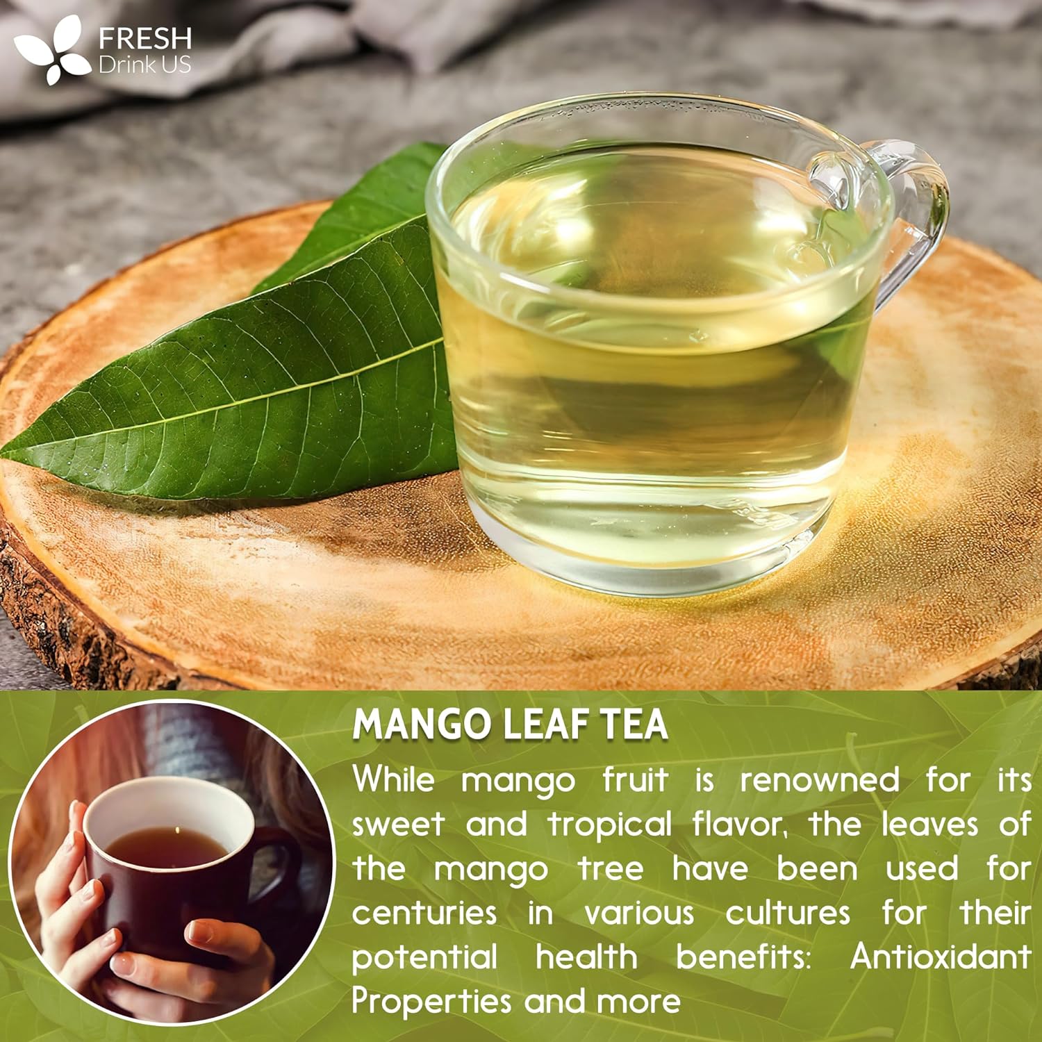 Mango Leaf, Whole Dried Leaves, Tea Bags, Powder, 100% Natural &amp; Pure from Mango Leaves. Mango Dried Leaves. Loose Leaf Mango Herbal Tea. Mango Leaf Tea. No Sugar, No Caffeine, No Gluten, Vegan. by FreshDrinkUS - Natural and Premium Herbal Tea