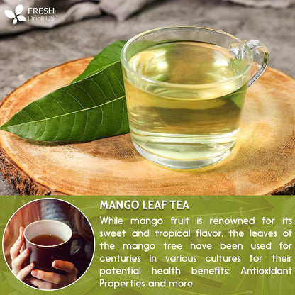 Mango Leaf, Whole Dried Leaves, Tea Bags, Powder, 100% Natural &amp; Pure from Mango Leaves. Mango Dried Leaves. Loose Leaf Mango Herbal Tea. Mango Leaf Tea. No Sugar, No Caffeine, No Gluten, Vegan. by FreshDrinkUS - Natural and Premium Herbal Tea
