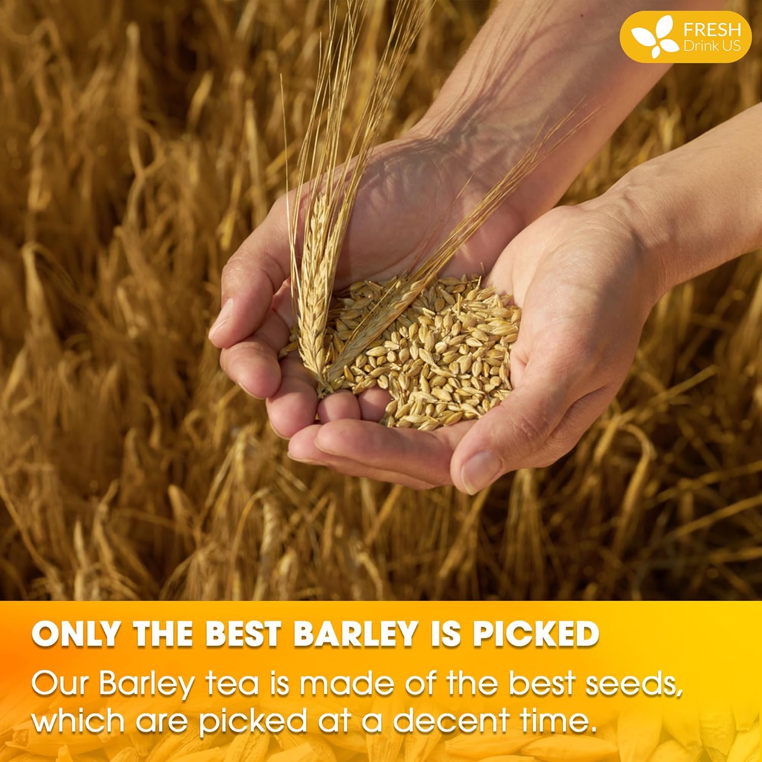 Premium Barley Tea Bags, 100% Natural &amp; Pure from Barley. Loose Barey Herbal Tea. No Sugar, No Caffeine, No Gluten, Vegan. by FreshDrinkUS - Natural and Premium Herbal Tea