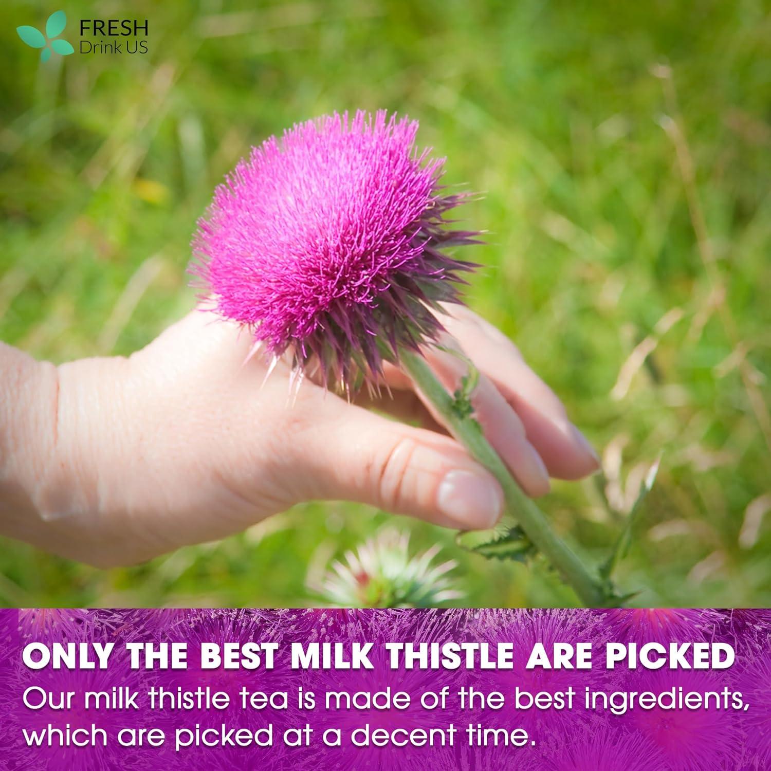 Premium Milk Thistle Tea Bags, 100% Natural &amp; Pure from Milk Thistle Seeds. Milk Thistle Seed Herbal Tea. Milk Thistle Seed Tea. Made with Natural Material Tea Bags. No Sugar, No Caffeine, No Gluten, Vegan. by FreshDrinkUS - Natural and Premium Herbal Tea