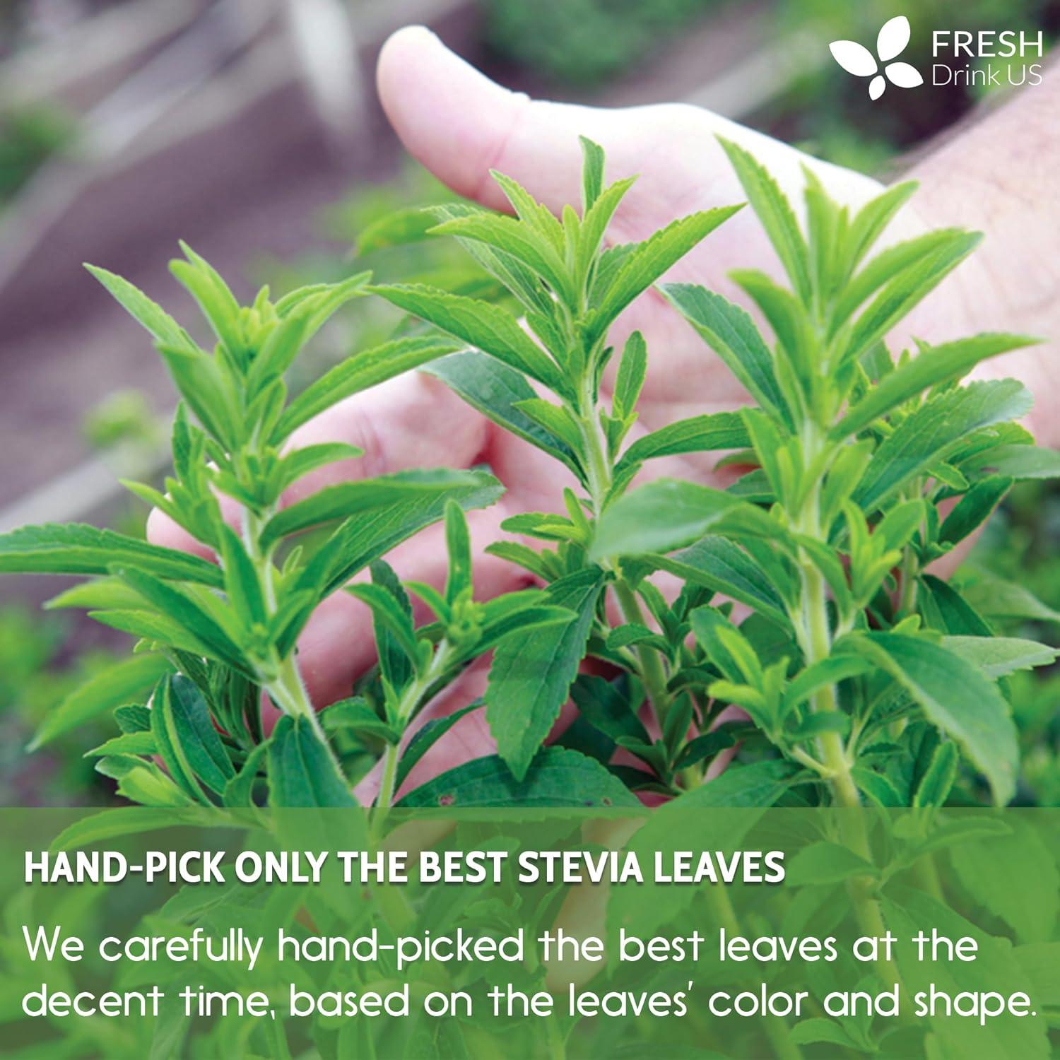 Stevia Leaf, Whole Dried Leaves, Tea Bags, Powder, 100% Natural and Pure from Stevia Leaves. Sugar Substitute for Tea, Coffee. Loose Leaf Stevia Herbal Tea. Zero Calorie Sweetener. No Sugar, No Caffeine, No Gluten, Vegan. by FreshDrinkUS - Natural and Premium Herbal Tea