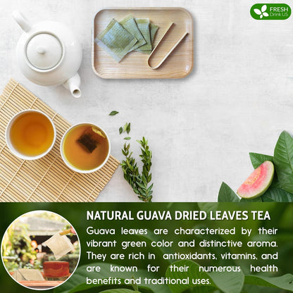 Premium Guava Leaf Tea Bags by FreshDrinkUS - Natural and Premium Herbal Tea