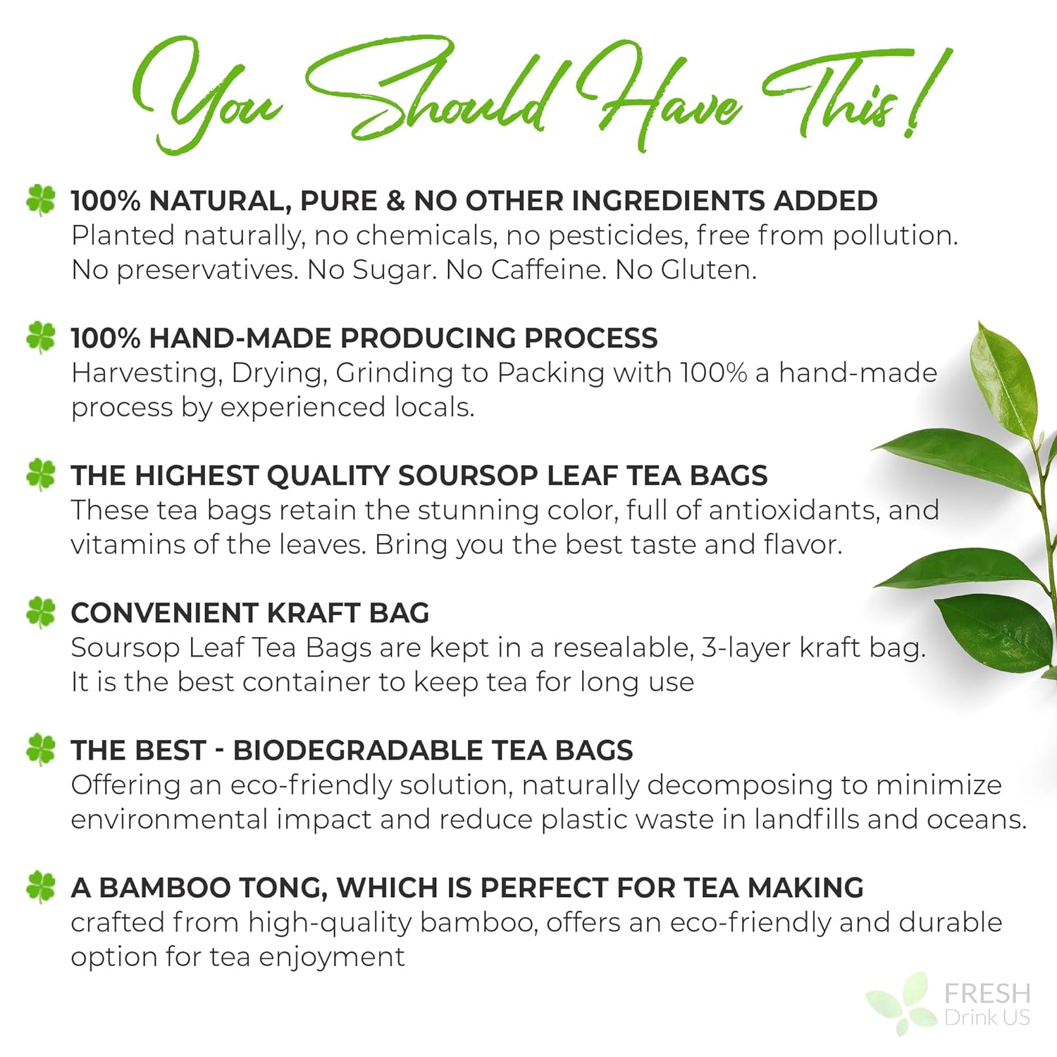 40 Premium Soursop Graviola Leaf Tea Bags, 100% Natural and Pure from Soursop Leaves, Handmade, Made With Natural Materials-Corn Fiber Tea Bag, Sugar/Caffeine/Gluten Free, Hoja Guanabana Tea by FreshDrinkUS - Natural and Premium Herbal Tea