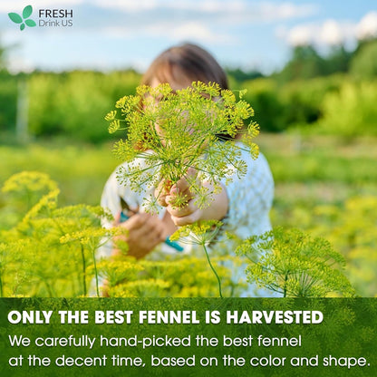 Premium Fennel Tea Bags, 100% Natural &amp; Pure from Fennel Seeds. Fennel Seed Herbal Tea. Fennel Seed Tea. Made with Natural Material Tea Bags. No Sugar, No Caffeine, No Gluten, Vegan. by FreshDrinkUS - Natural and Premium Herbal Tea
