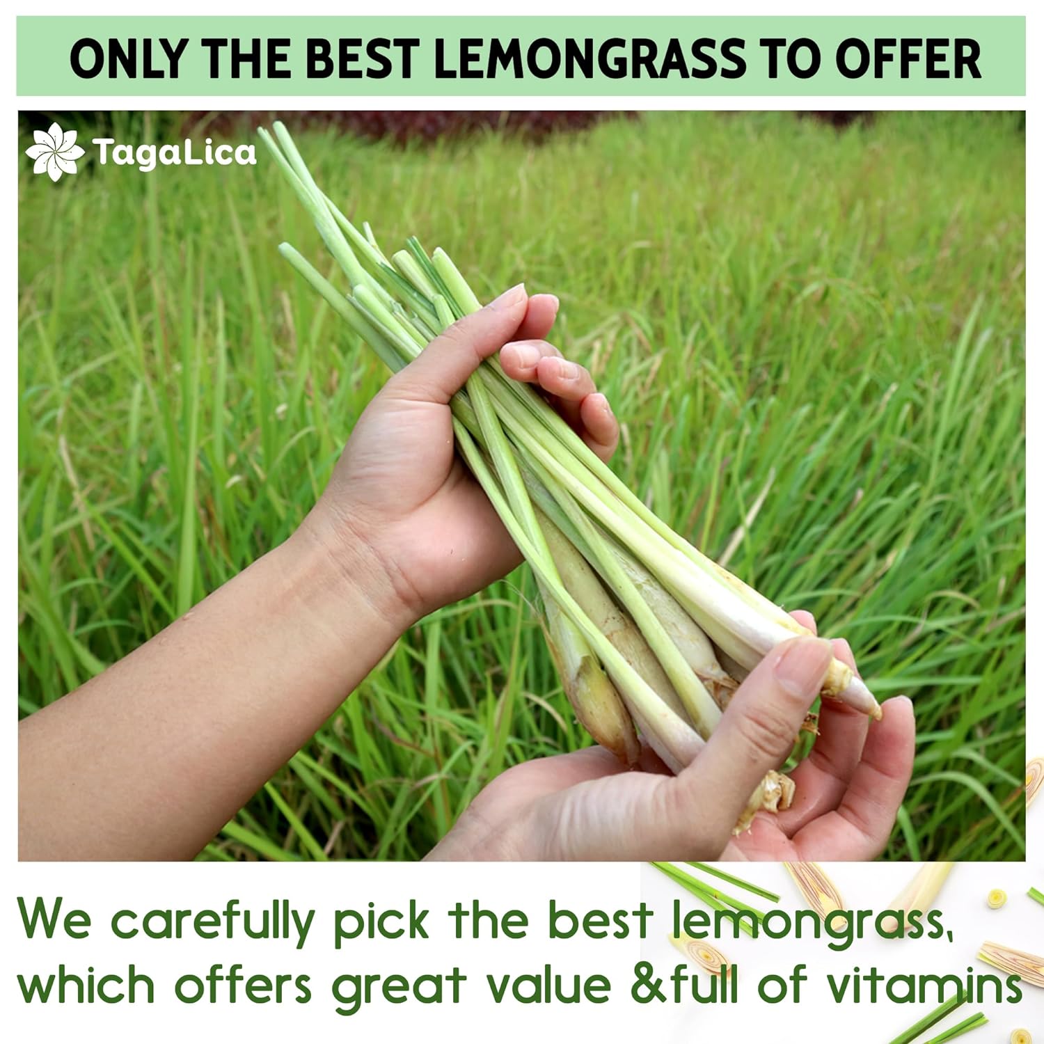 Lemongrass Tea Bags, 100% Natural &amp; Pure Lemongrass leaves, Eco-Conscious Tea Bags, Lemongrass Herbal Tea. Lemongrass Leaf Tea. No Sugar, No Caffeine, No Gluten, Vegan. by FreshDrinkUS - Natural and Premium Herbal Tea