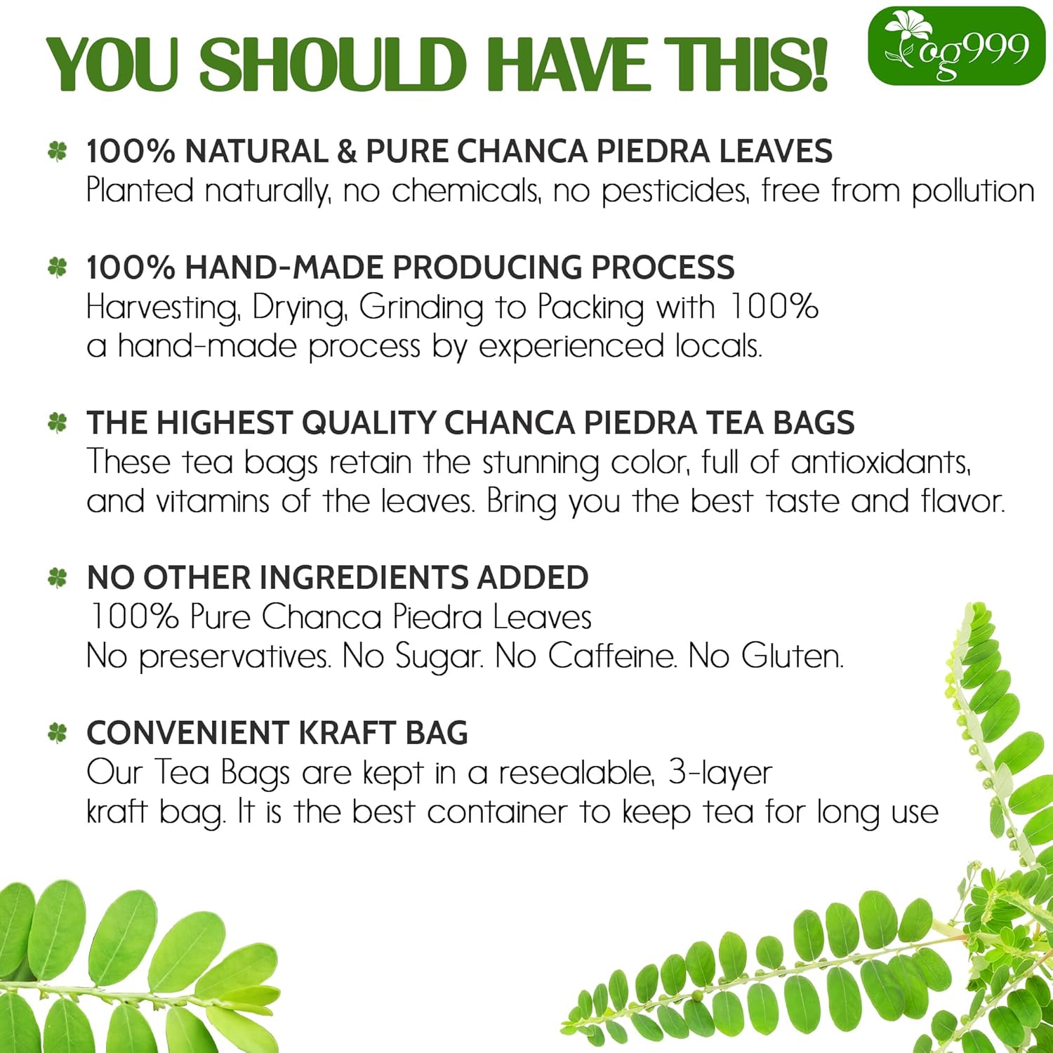 Dried Chanca Piedra Leaves, Chanca Piedra Tea “Stone Breaker” Tea Bags by FreshDrinkUS - Natural and Premium Herbal Tea