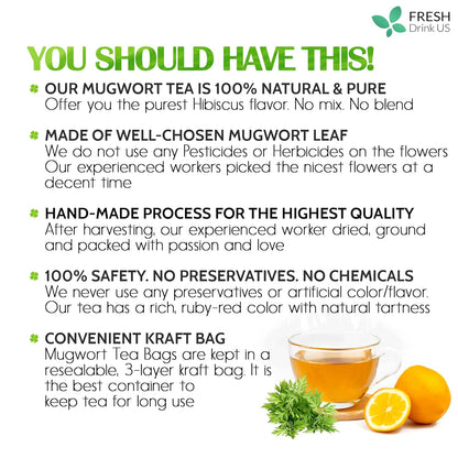 Mugwort Leaf Tea Bags, 100% Natural and Pure Mugwort Leaves, Loose Leaf Mugwort Herbal Tea, Mugwort Leaf Tea, No Sugar, No Caffeine, No Gluten, Vegan. by FreshDrinkUS - Natural and Premium Herbal Tea
