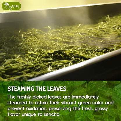 Premium Sencha Green Tea Bags, 100% Natural &amp; Pure from Sencha Green Tea Leaves by FreshDrinkUS - Natural and Premium Herbal Tea