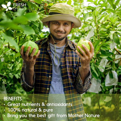 Natural Guava Leaves, Whole Dried Leaves, Cut-and-Sifted Guava leaves, 100% Pure from Guava Leaves, Natural Guava Loose Leaf Herbal Tea, No Additives, No Caffeine, Vegan by FreshDrinkUS - Natural and Premium Herbal Tea