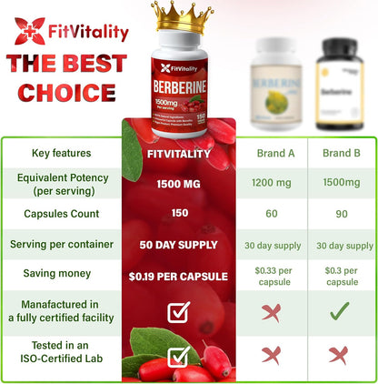 Premium Berberine Supplement, Non-GMO, Gluten-Free by FreshDrinkUS - Natural and Premium Herbal Tea