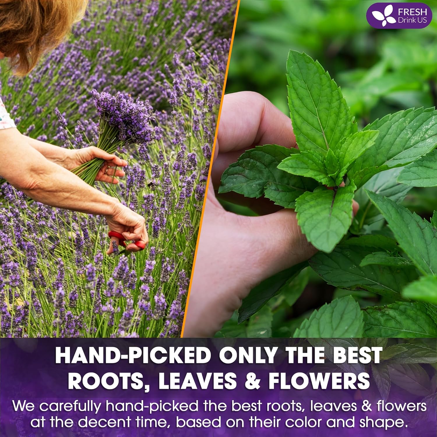 Premium Lavender Mint Tea Bags. 100% Natural, Blend of Lavender, Peppermint, Sage and Licorice. by FreshDrinkUS - Natural and Premium Herbal Tea
