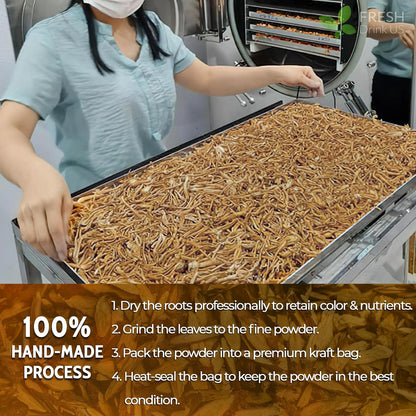 Burdock Root Powder, Burdock Root Extract, 100% Natural &amp; Pure from Burdock Root, Burdock Root Herbal Tea, No Additives, No Caffeine, Vegan by FreshDrinkUS - Natural and Premium Herbal Tea