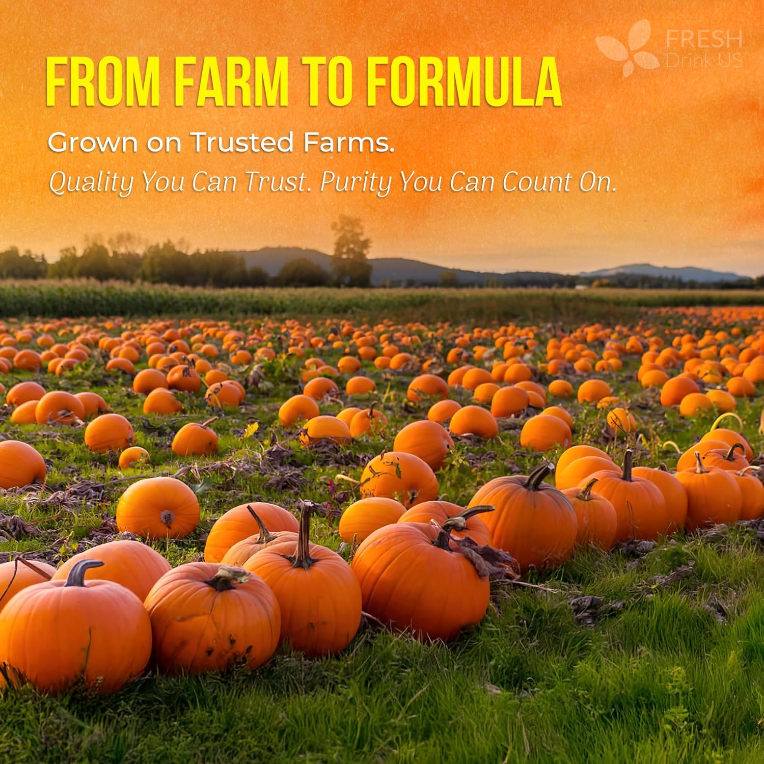 Premium Pumpkin Seed Oil Softgels with Saw Palmetto, 3000mg Per Serving, Cold Pressed, Pure Virgin Oil, Great Hair Support, Non-GMO, Gluten-Free, Vegan by FreshDrinkUS - Natural and Premium Herbal Tea