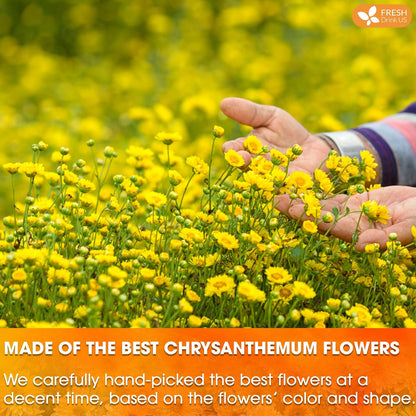 Premium 75 Chrysanthemum Flower Tea Bags by FreshDrinkUS - Natural and Premium Herbal Tea