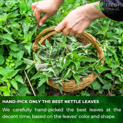 Premium Nettle Leaf Tea Bags, 100% Natural &amp; Pure, Stinging Nettle Leaf Tea, Nettle Leaf Tea, Burn Nettle, Stinging Nettle, Nettle Tea, Stinger Tea, No Sugar/Caffeine &amp; Gluten, Vegan by FreshDrinkUS - Natural and Premium Herbal Tea