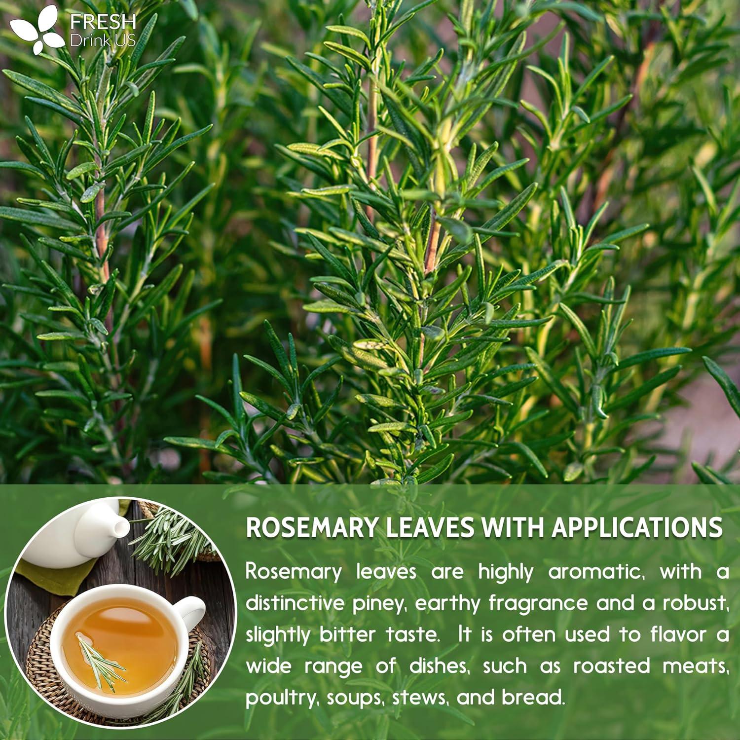 Premium Rosemary Leaves, Tea Bags, Powder, 100% Natural &amp; Pure from Dried Rosemary Leaves, No Additives, No Caffeine, Vegan. Dried Rosemary Herb, Perfect for Seasoning, Spice Blends for Grilling &amp; Cooking by FreshDrinkUS - Natural and Premium Herbal Tea