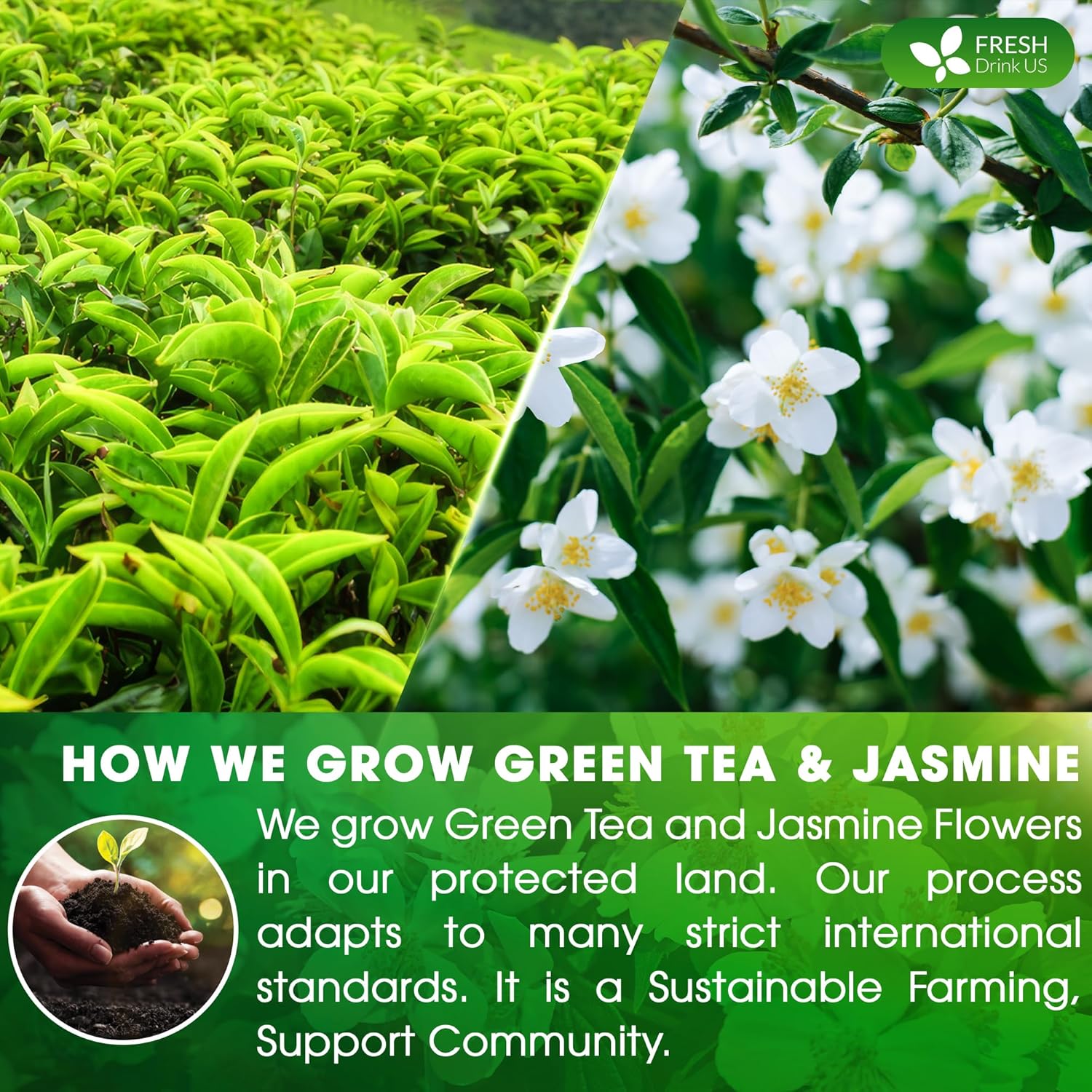 Premium Jasmine Green Tea Bags. Jasmine Green Herbal Tea. Made with Natural Material Tea Bags. No Sugar, No Gluten, Vegan. by FreshDrinkUS - Natural and Premium Herbal Tea