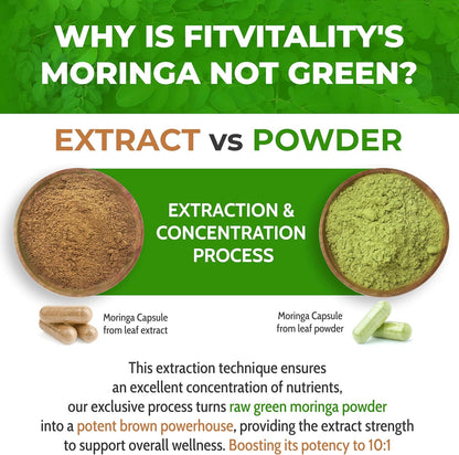 Moringa Capsules|300 Capsules|Moringa Oleifera|10,000mg by FreshDrinkUS - Natural and Premium Herbal Tea