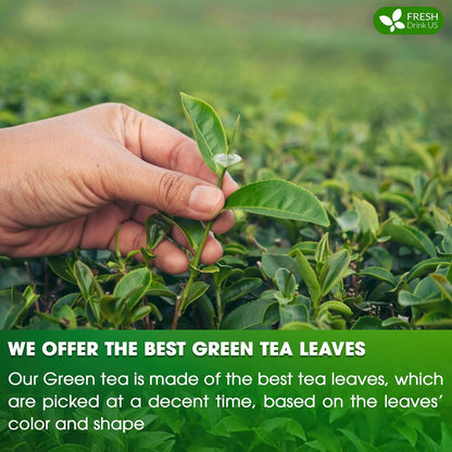 Premium Green Tea Bags, 100% Natural &amp; Pure from Green Tea. Green Herbal Tea. No Sugar, No Gluten, Vegan by FreshDrinkUS - Natural and Premium Herbal Tea